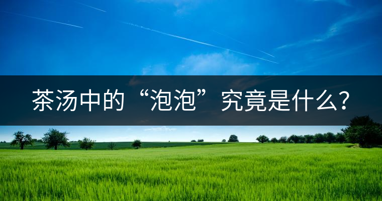 茶湯中的“泡泡”究竟是什么？
