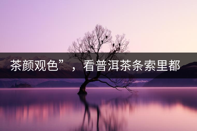 茶顏觀色”，看普洱茶條索里都蘊含著怎樣的“密碼”？