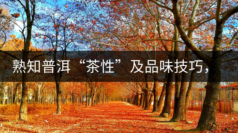 熟知普洱“茶性”及品味技巧，方能品出好茶