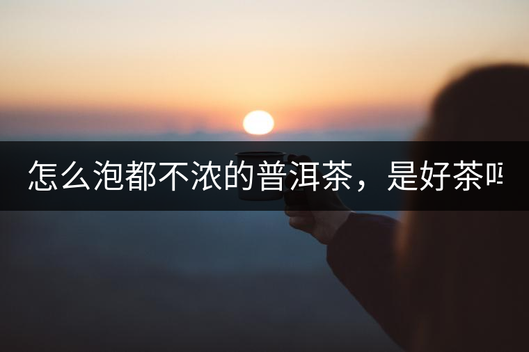 怎么泡都不濃的普洱茶，是好茶嗎？