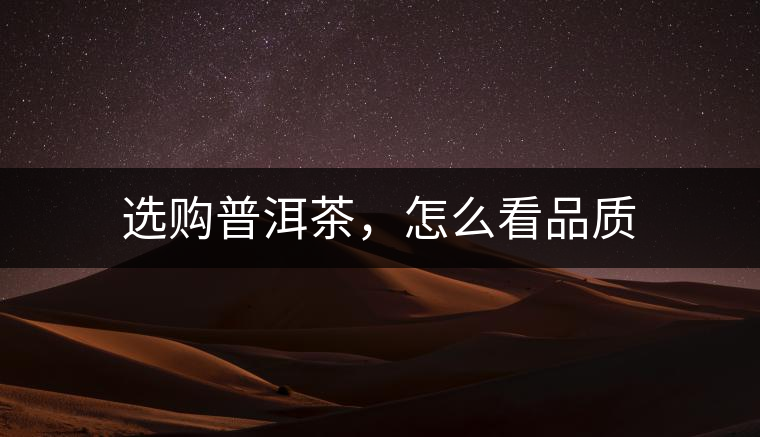 選購普洱茶，怎么看品質(zhì)