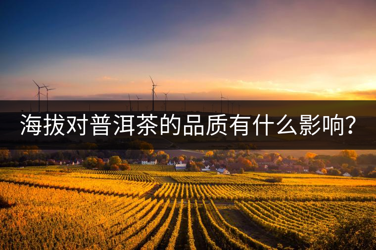 海拔對普洱茶的品質(zhì)有什么影響？