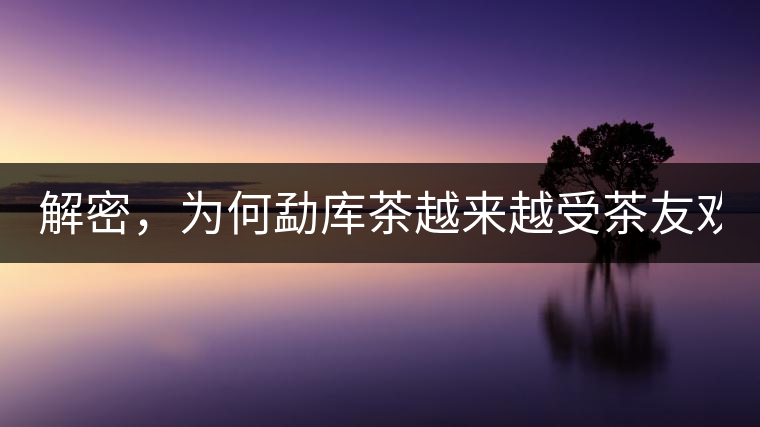 解密，為何勐庫茶越來越受茶友歡迎！