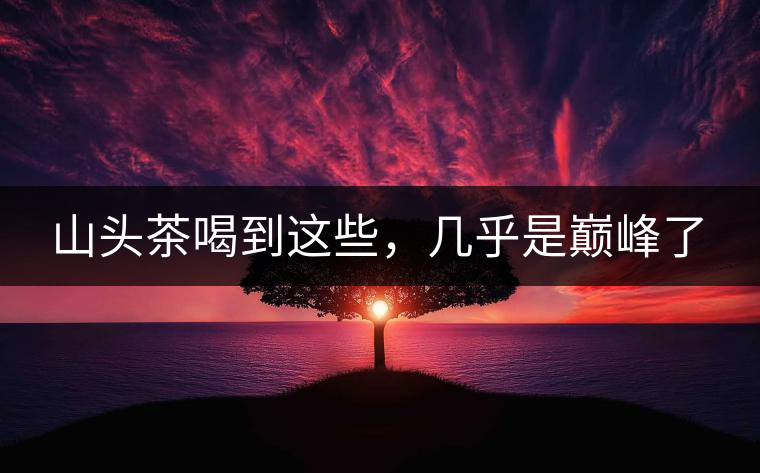 山頭茶喝到這些，幾乎是巔峰了