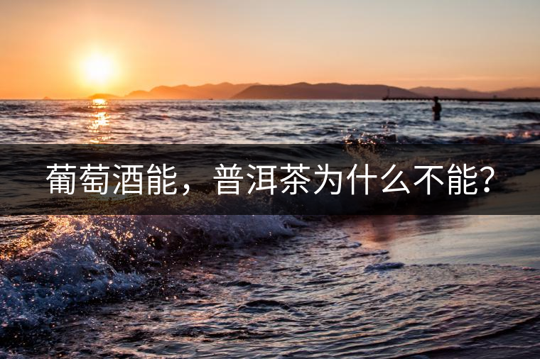 葡萄酒能，普洱茶為什么不能？