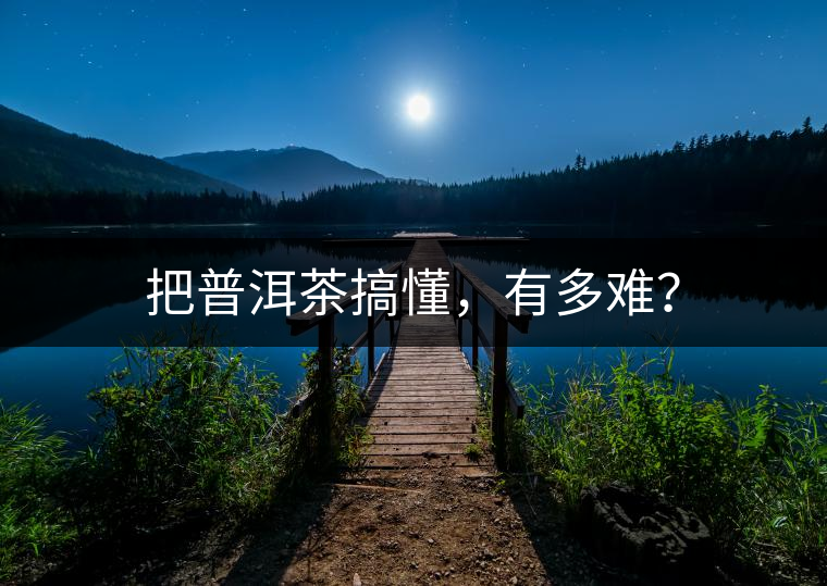 把普洱茶搞懂，有多難？