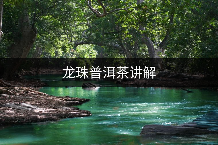 龍珠普洱茶講解