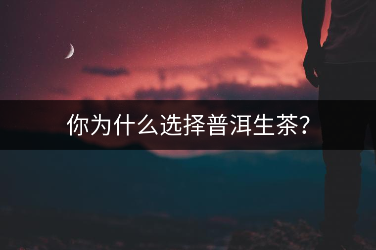 你為什么選擇普洱生茶？