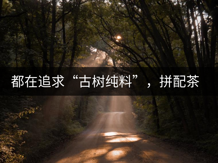 都在追求“古樹(shù)純料”，拼配茶真的不如純料的？
