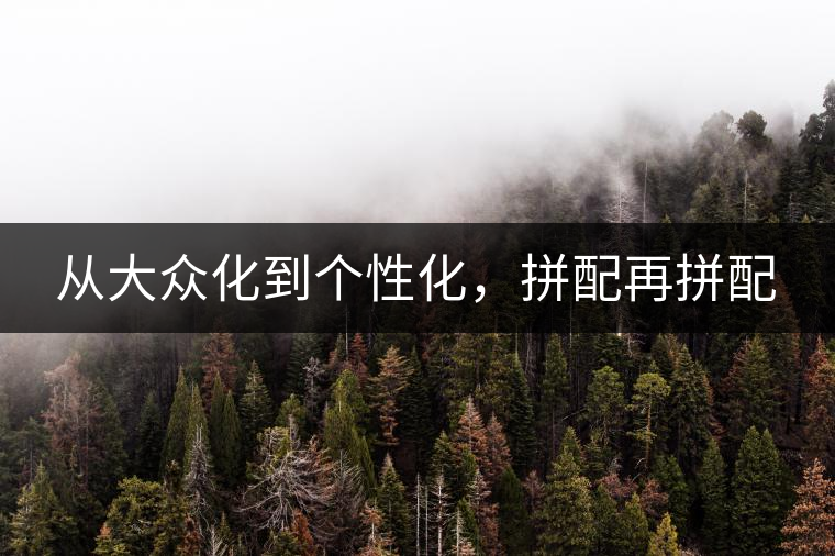 從大眾化到個性化，拼配再拼配