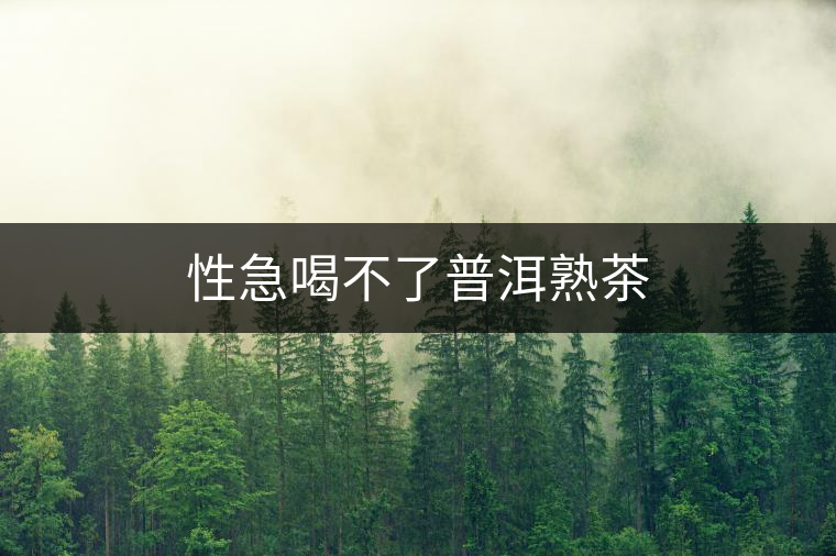 性急喝不了普洱熟茶