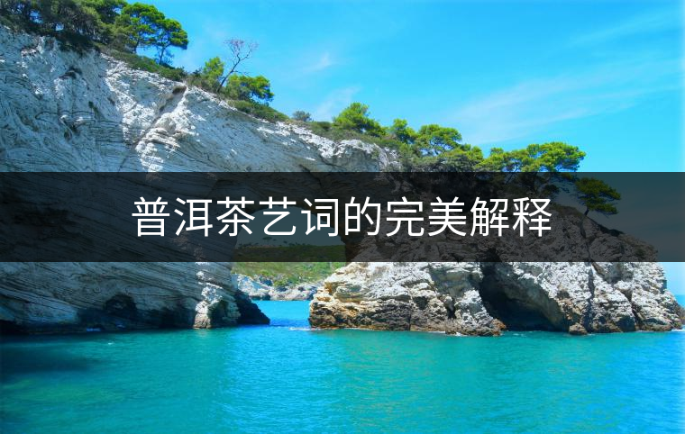 普洱茶藝詞的完美解釋
