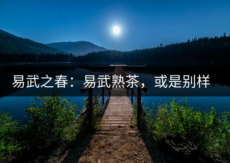 易武之春：易武熟茶，或是別樣風(fēng)采丨賞鑒