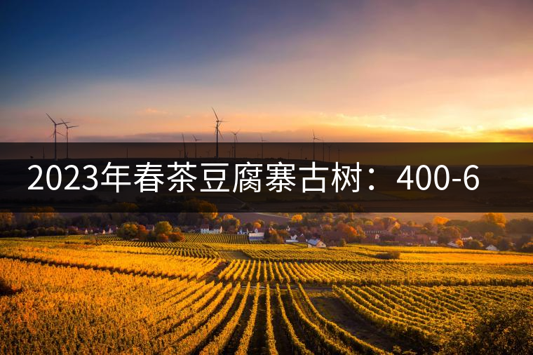 2023年春茶豆腐寨古樹:400-600元/公斤 2023年春茶豆腐寨古樹:400-600元/公斤
