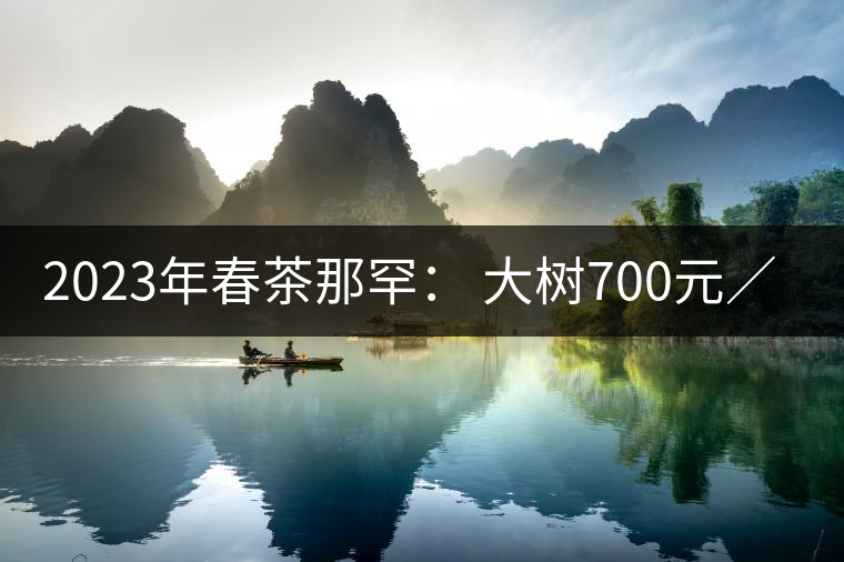 2023年春茶那罕： 大樹(shù)700元／公斤，古樹(shù)：1200-1600元／公斤