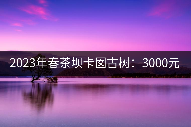 2023年春茶壩卡囡古樹(shù)：3000元／kg小樹(shù)：1200元／Kg