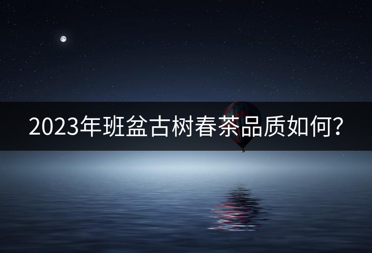 2023年班盆古樹春茶品質(zhì)如何？