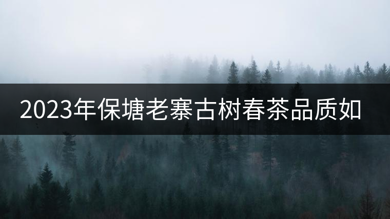2023年保塘老寨古樹春茶品質(zhì)如何？