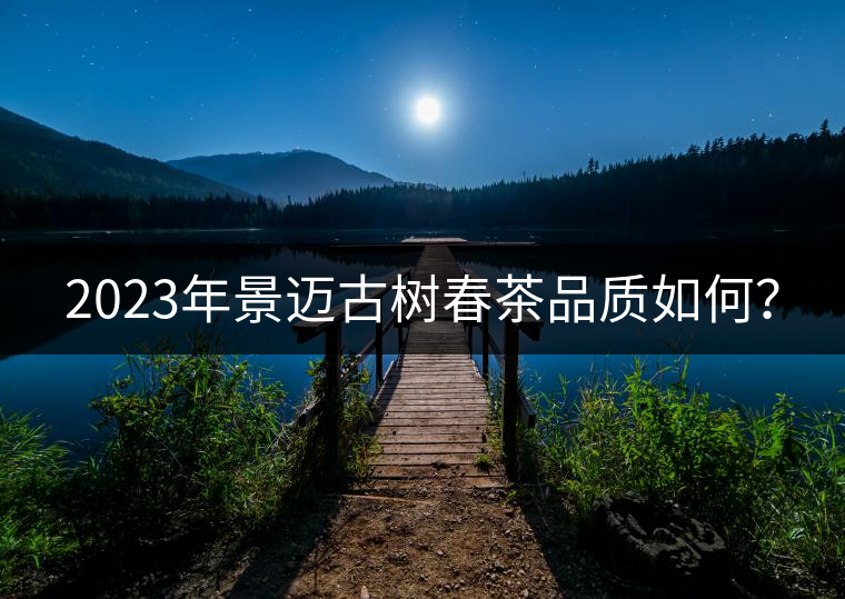 2023年景邁古樹春茶品質(zhì)如何？
