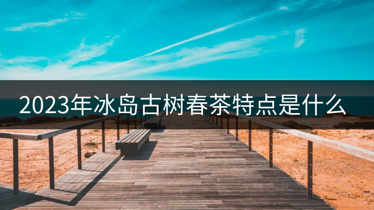 2023年冰島古樹春茶特點是什么？