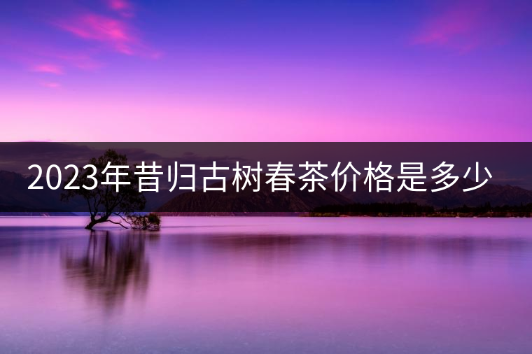 2023年昔歸古樹春茶價格是多少？