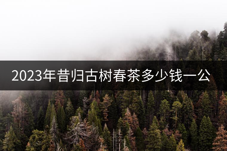 2023年昔歸古樹春茶多少錢一公斤？