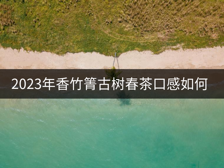 2023年香竹箐古樹(shù)春茶口感如何？