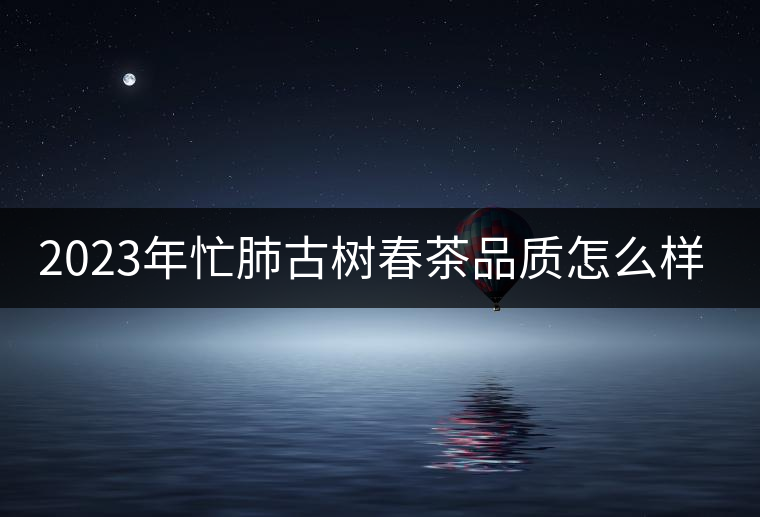 2023年忙肺古樹春茶品質(zhì)怎么樣？