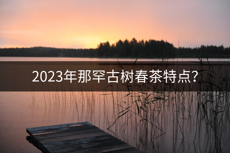2023年那罕古樹春茶特點(diǎn)？
