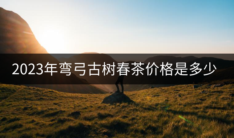 2023年彎弓古樹春茶價格是多少？