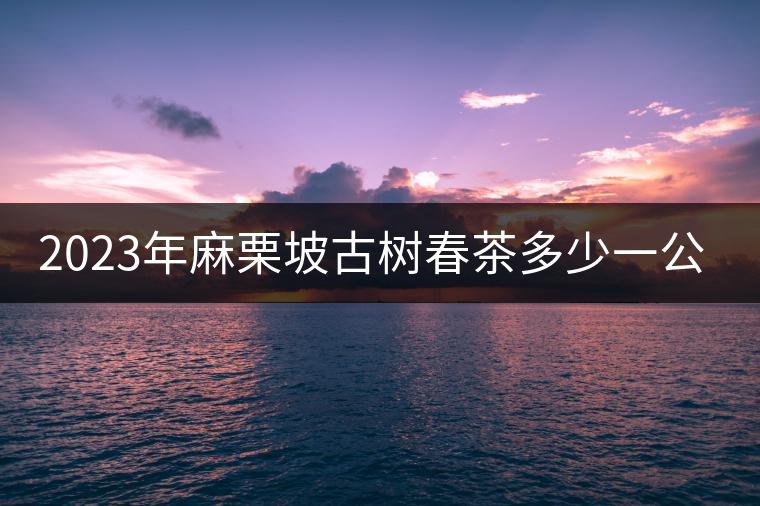 2023年麻栗坡古樹春茶多少一公斤？