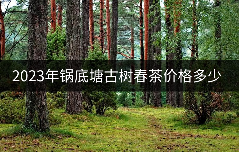 2023年鍋底塘古樹春茶價格多少？