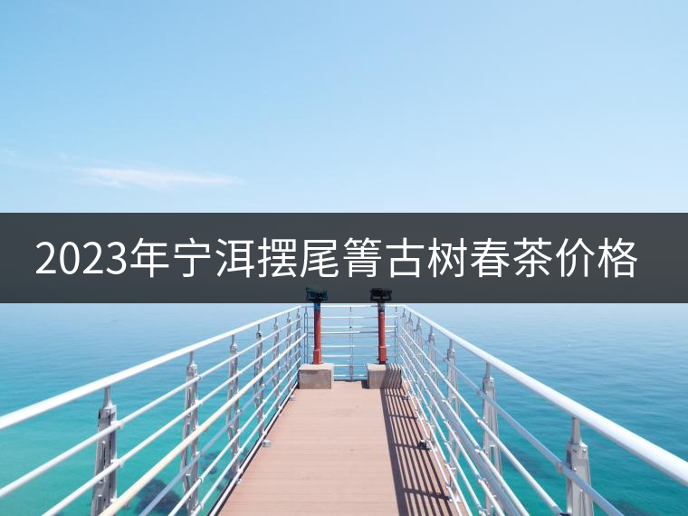 2023年寧洱擺尾箐古樹春茶價(jià)格是多少？