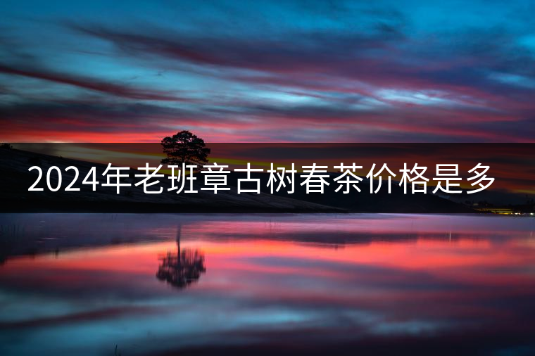 2024年老班章古樹春茶價格是多少？