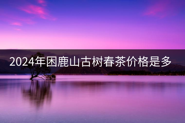 2024年困鹿山古樹(shù)春茶價(jià)格是多少？