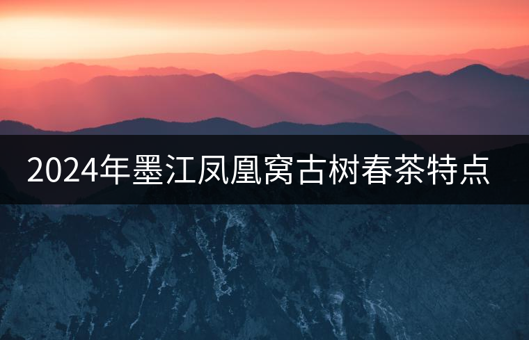 2024年墨江鳳凰窩古樹春茶特點(diǎn)是什么？