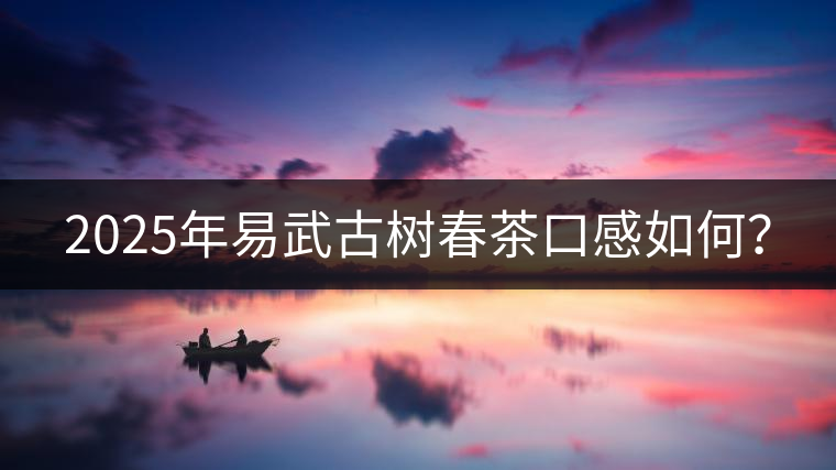 2025年易武古樹春茶口感如何？