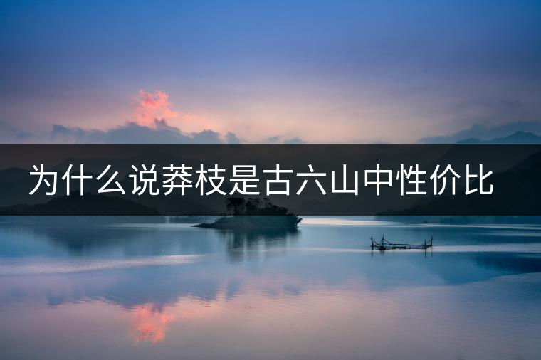 為什么說(shuō)莽枝是古六山中性價(jià)比最高的? 為什么說(shuō)莽枝是古六山中性價(jià)比最高的?