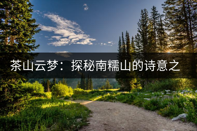 茶山云夢：探秘南糯山的詩意之旅