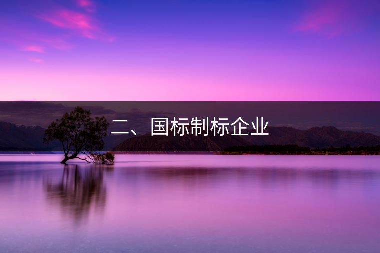 二、國(guó)標(biāo)制標(biāo)企業(yè)