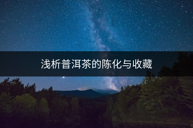 淺析普洱茶的陳化與收藏