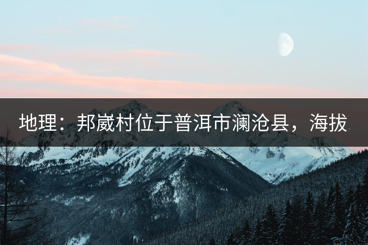 地理：邦崴村位于普洱市瀾滄縣，海拔1800-2000多米，這里的古樹茶被原始森林環(huán)抱，遠離塵囂污染，沒有農(nóng)藥化肥。