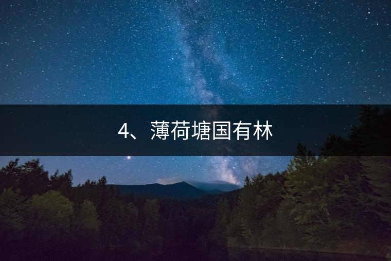 4、薄荷塘國有林