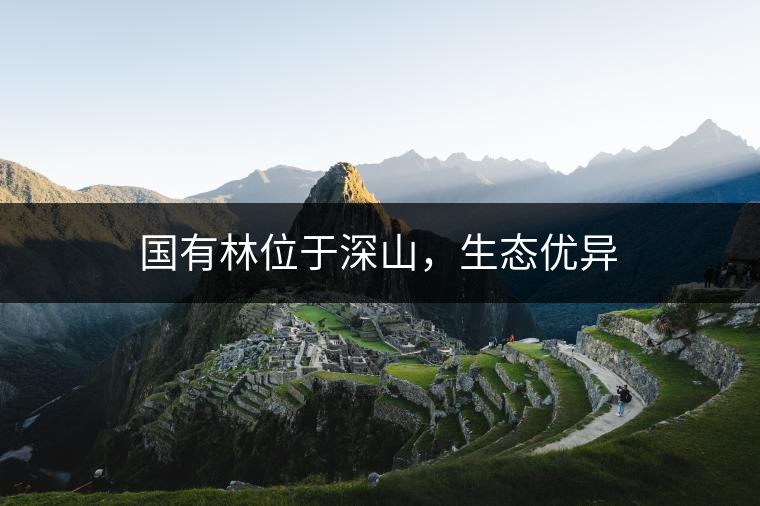 國有林位于深山，生態(tài)優(yōu)異