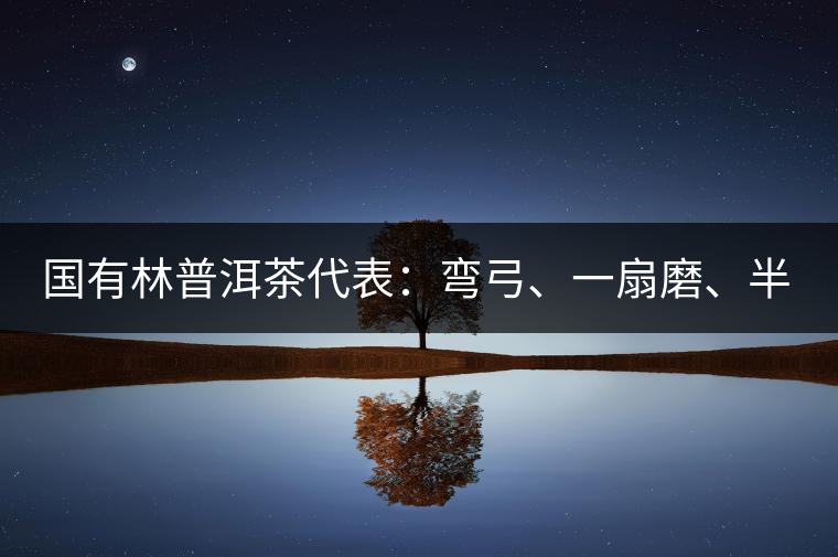 國有林普洱茶代表：彎弓、一扇磨、半坡老寨