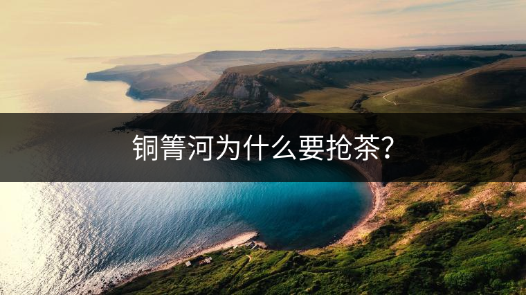 銅箐河為什么要搶茶？