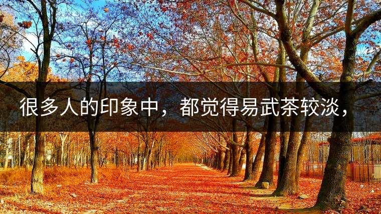 很多人的印象中，都覺得易武茶較淡，但存放幾年后，再喝又覺得茶味茶氣變濃了。我們就這個問題，考察了易武古茶山，和走訪了當?shù)夭柁r(nóng)。我們發(fā)現(xiàn)這跟易武古樹茶的茶質(zhì)和茶農(nóng)制茶的傳統(tǒng)工藝有關(guān)。