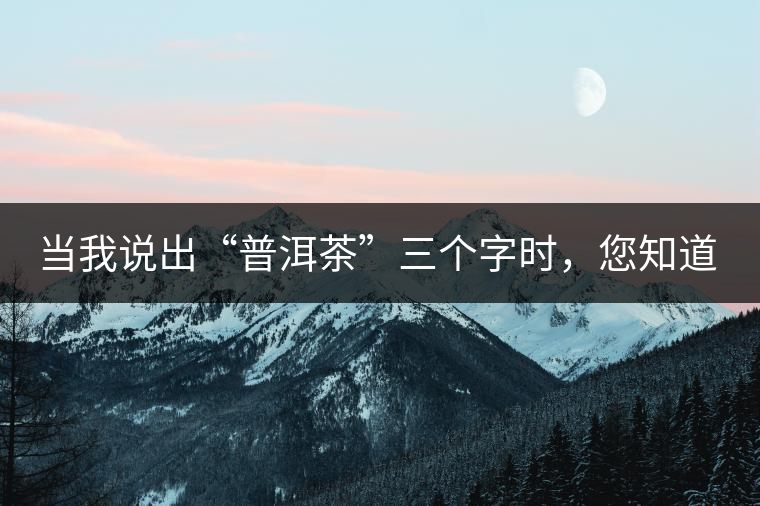 當(dāng)我說(shuō)出“普洱茶”三個(gè)字時(shí)，您知道我在說(shuō)什么嗎？