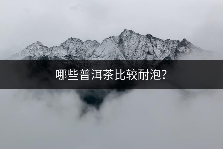 哪些普洱茶比較耐泡？