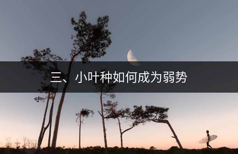 三、小葉種如何成為弱勢(shì)